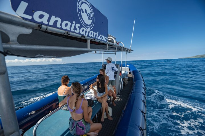Lanai Snorkel Safari Experience from Maui - Photo 10