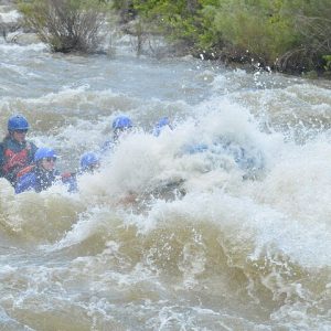 Bighorn Sheep Canyon Half-Day Rafting - Photo 2