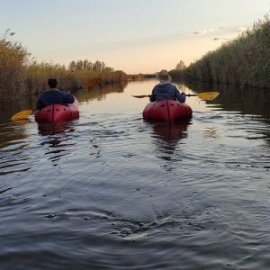 Lake Massaciuccoli: kayak tour with aperitif + free pictures - Photo 2