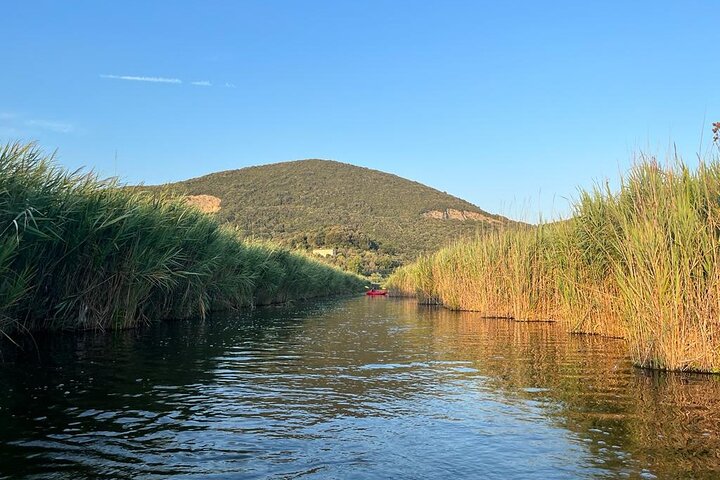 Lake Massaciuccoli: kayak tour with aperitif + free pictures - Photo 5