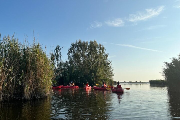 Lake Massaciuccoli: kayak tour with aperitif + free pictures - Photo 7