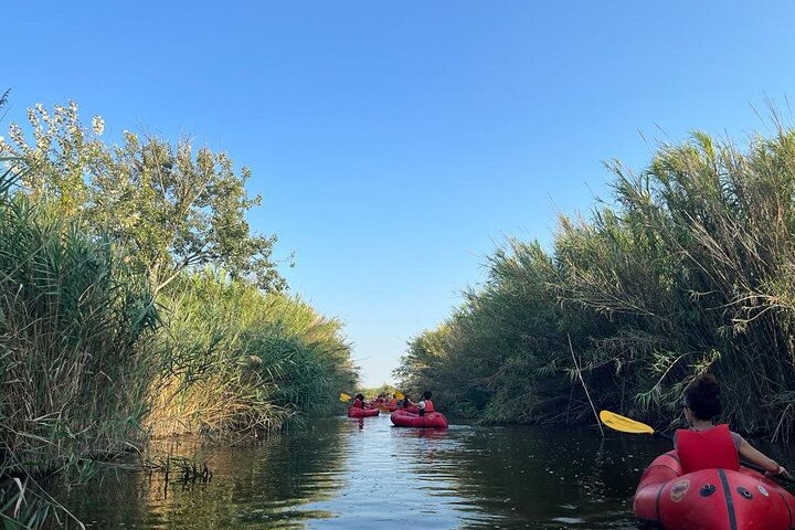 Lake Massaciuccoli: kayak tour with aperitif + free pictures - Photo 8