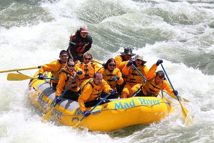 Dig In - Whitewater Rafting Adventure in Jackson Hole - Small Boats