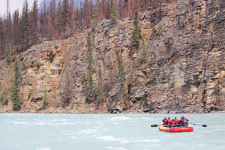 Rafting past high canyon walls - Athabasca Canyon Run Family Rafting: Class II Plus Rapids