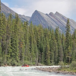 Self-Drive Sunwapta Class III Whitewater Rafting - Photo 2