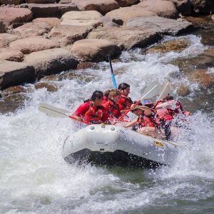 Durango Half Day Rafting Trip - Lower Animas River - Photo 2