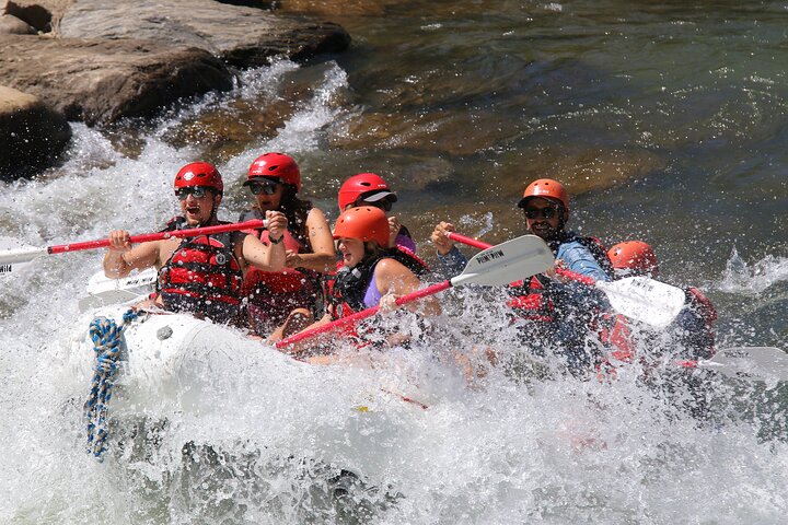 Durango Half Day Rafting Trip - Lower Animas River - Photo 4