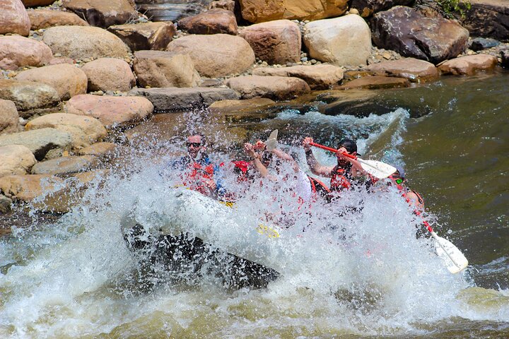 Durango Half Day Rafting Trip - Lower Animas River - Photo 8