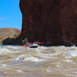 Moab Afternoon Half Day Rafting Trip - Colorado River - Photo 1