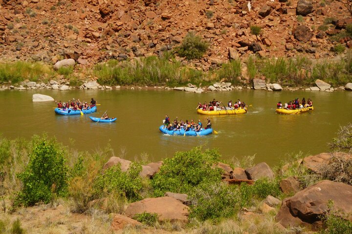 Moab Half-Day Rafting: Colorado River Adventure - Photo 7