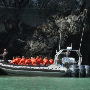 Local Alaskan Naturalists on every tour! - Ocean Raft Alaska