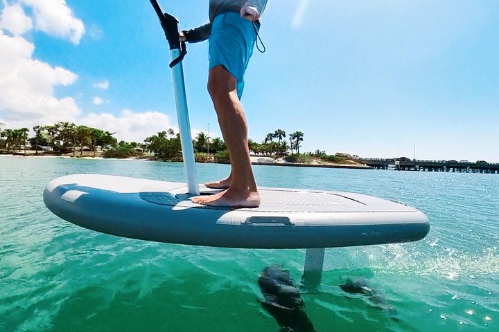 Efoil Ocean Adventure on a Flite Scooter! Sarasota. - Photo 4