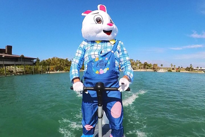 Efoil Ocean Adventure on a Flite Scooter! Sarasota. - Photo 8
