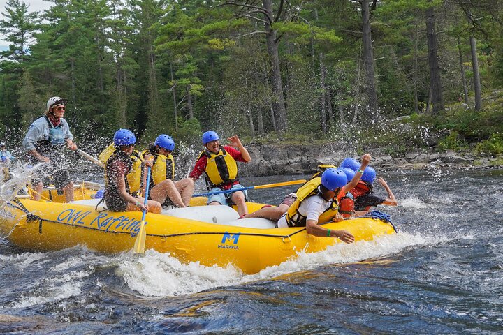 Low Intensity Rafting on the Ottawa River | Day Trip - Photo 2