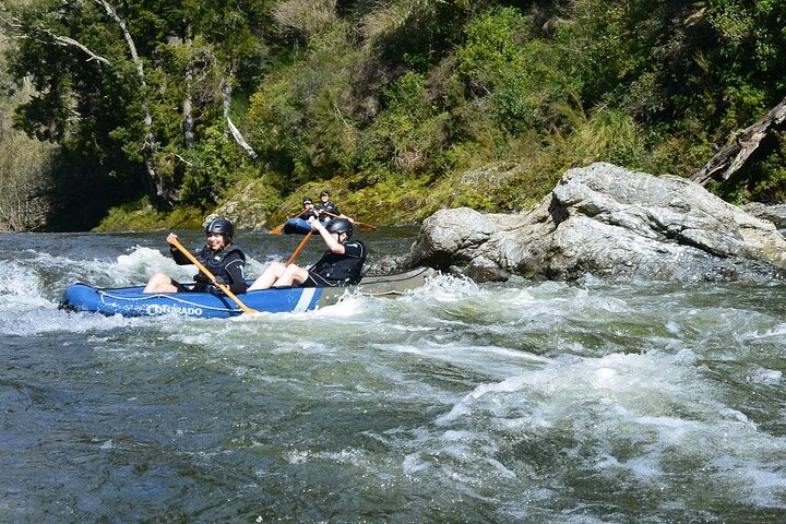 The Hobbit Barrel Run Rafting Tour on the Pelorus River - Photo 4