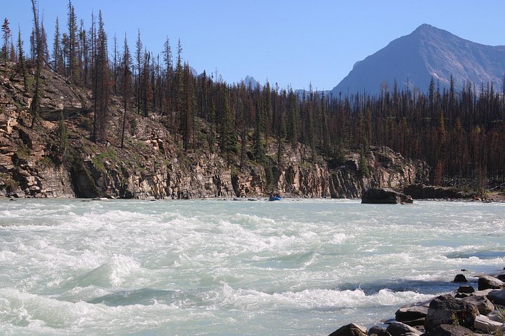 Rafting Athabasca Falls Run in Jasper - Photo 10