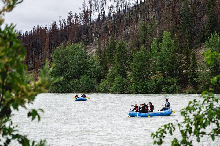 Rafting on Athabasca River Mile 5 in Jasper - Photo 7
