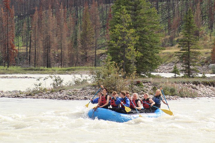 Rafting on Athabasca River Mile 5 in Jasper - Photo 8