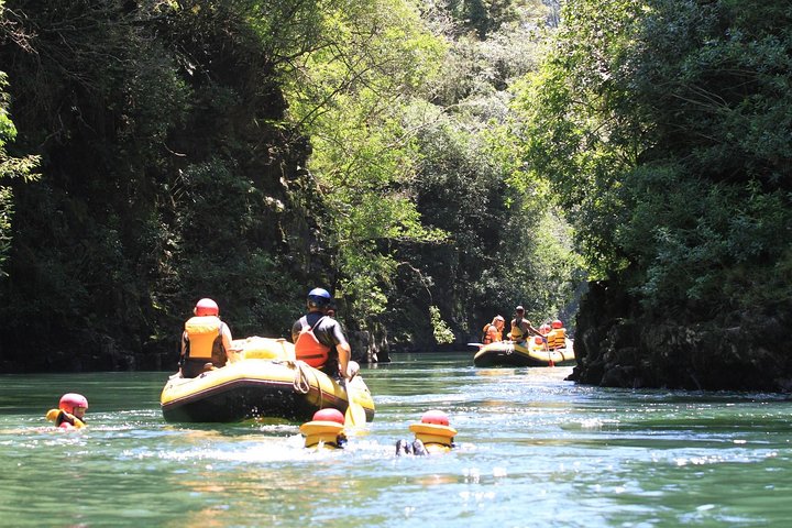 Stunning tree lined rock gorges - Rangitaiki River White Water Scenic Rafting from Rotorua