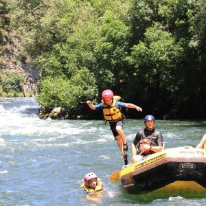 Rangitaiki Scenic summer fun - Rangitaiki River White Water Scenic Rafting from Rotorua