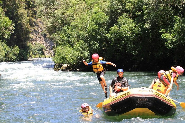 Rangitaiki Scenic summer fun - Rangitaiki River White Water Scenic Rafting from Rotorua