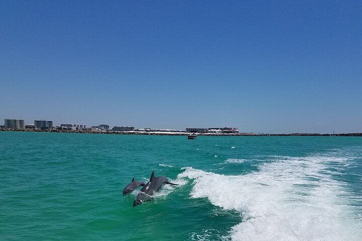 Sky High Parasailing From Marina Cafe - Destin Florida - Photo 7