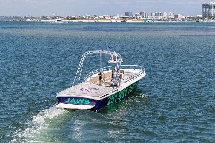 Parasailing Gulf Coast in Alabama - Photo 5