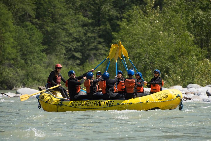 Just made it through the famous Devil's Elbow section! Paddles up to celebrate. - Elaho Whitewater Experience