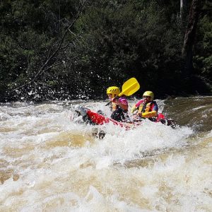 White-water rafting Melbourne - Whitewater Sports rafting on the Yarra river