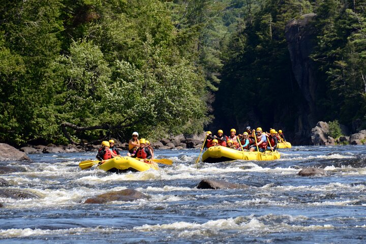Family Rafting with kids | Rouge River (From age 6) - Photo 6