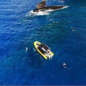 Snorkeling Lanai! - Ultimate 4 Hour Lanai Snorkel and Dolphin Encounter
