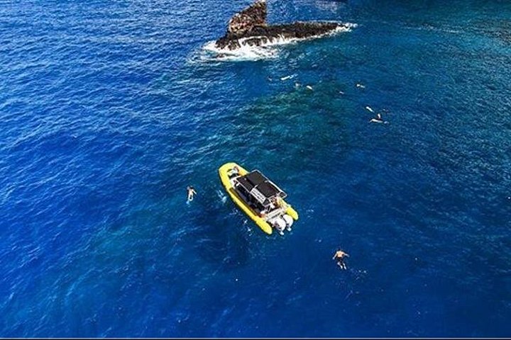 Snorkeling Lanai! - Ultimate 4 Hour Lanai Snorkel and Dolphin Encounter