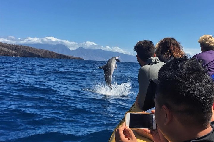 Spinner dolphins - Ultimate 4 Hour Lanai Snorkel and Dolphin Encounter