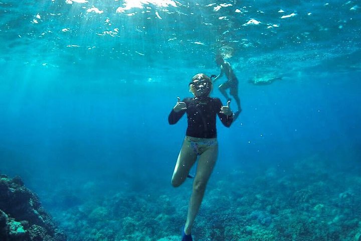Snorkeling in Crystal Clear Water! - Ultimate 4 Hour Lanai Snorkel and Dolphin Encounter