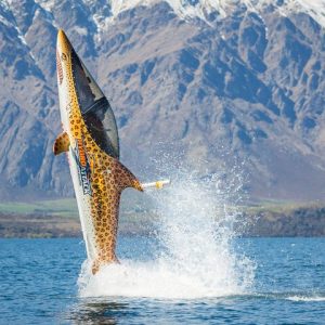 Queenstown Hydro Attack Shark Ride Adventure - Photo 1