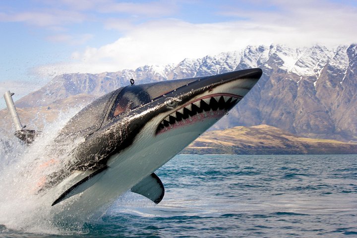 Queenstown Hydro Attack Shark Ride Adventure - Photo 6