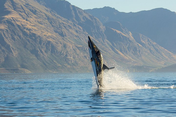 Queenstown Hydro Attack Shark Ride Adventure - Photo 10