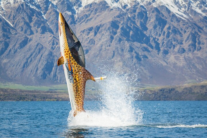 Queenstown Hydro Attack Shark Ride Adventure - Photo 1