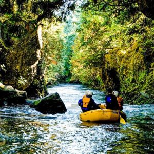 White Salmon River Rafting - Full Day - Photo 1