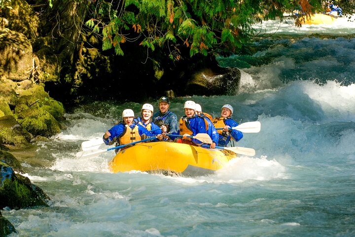 White Salmon River Rafting - Half Day - Photo 4