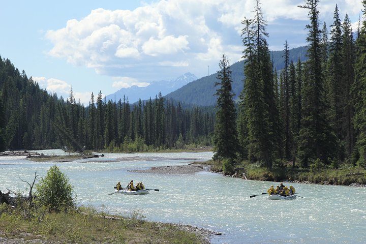 Wild Water Adventures - Photo 2
