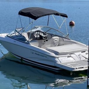 Private Boat Experience with Watersports on Lake Zurich - Photo 1