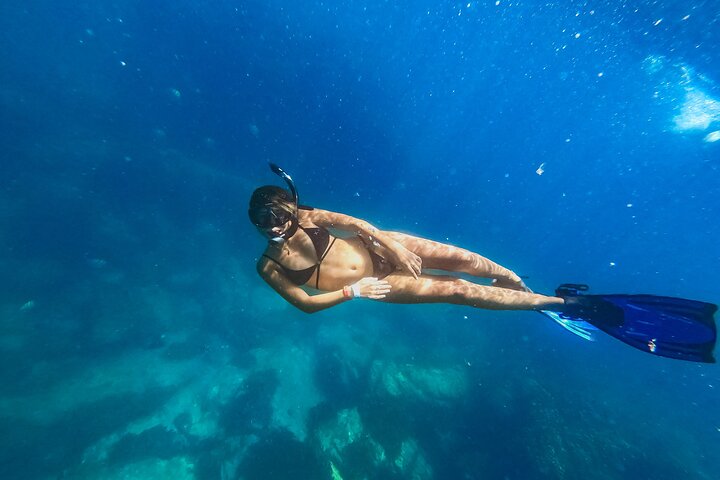 Swim in the deep blue ocean - Cabo Half-Day Snorkel Adventure with Lunch and Open Bar