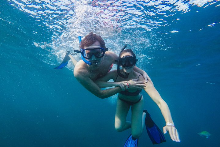 Underwater exploration - Cabo Half-Day Snorkel Adventure with Lunch and Open Bar