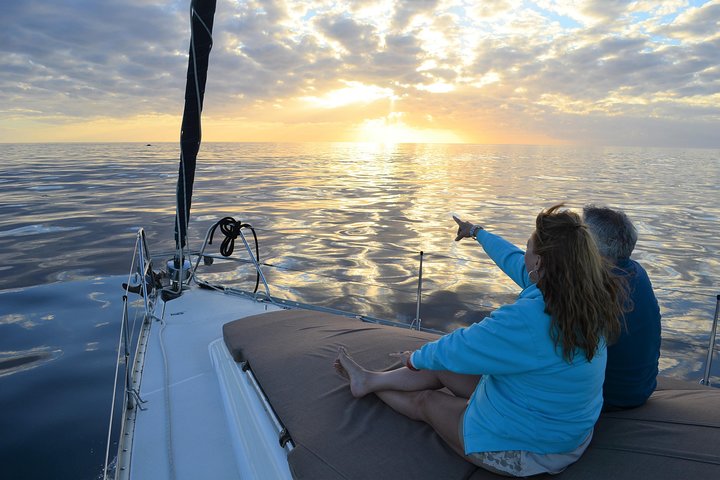 Cabo San Lucas Sunset Sailing Shared Cruise - Photo 6