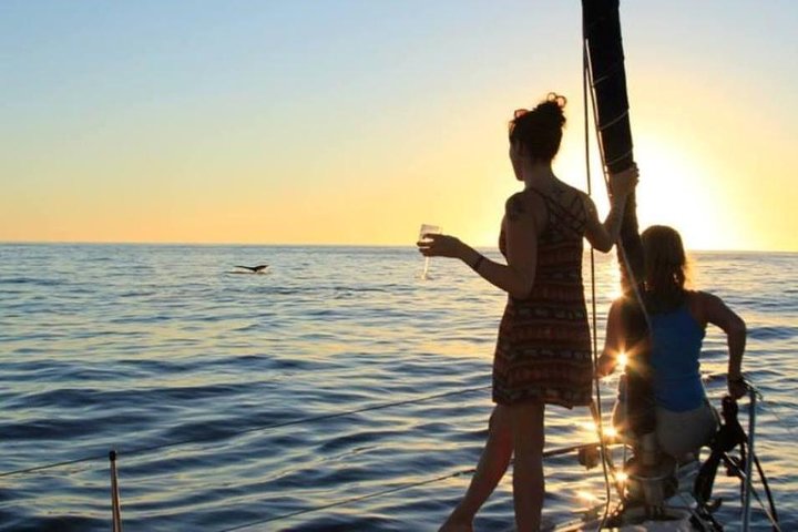 Cabo San Lucas Sunset Sailing Shared Cruise - Photo 10