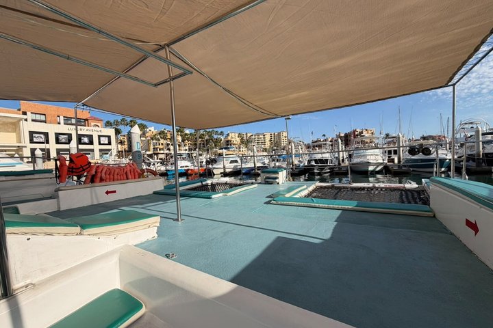 Sunset Cruise with Unlimited Drinks and Snacks. Cabo San Lucas - Photo 5