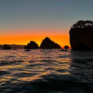 Sunset and Bioluminescence Boat Tour at Los Arcos Islands - Photo 2