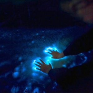 Sunset and Bioluminescence Boat Tour at Los Arcos Islands - Photo 1