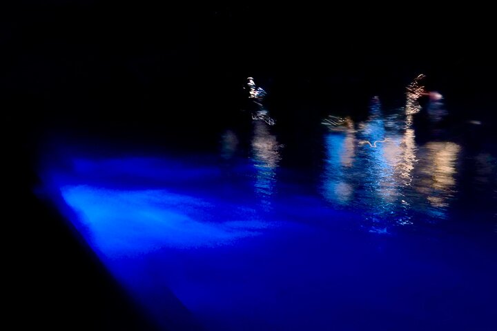 Sunset and Bioluminescence Boat Tour at Los Arcos Islands - Photo 5
